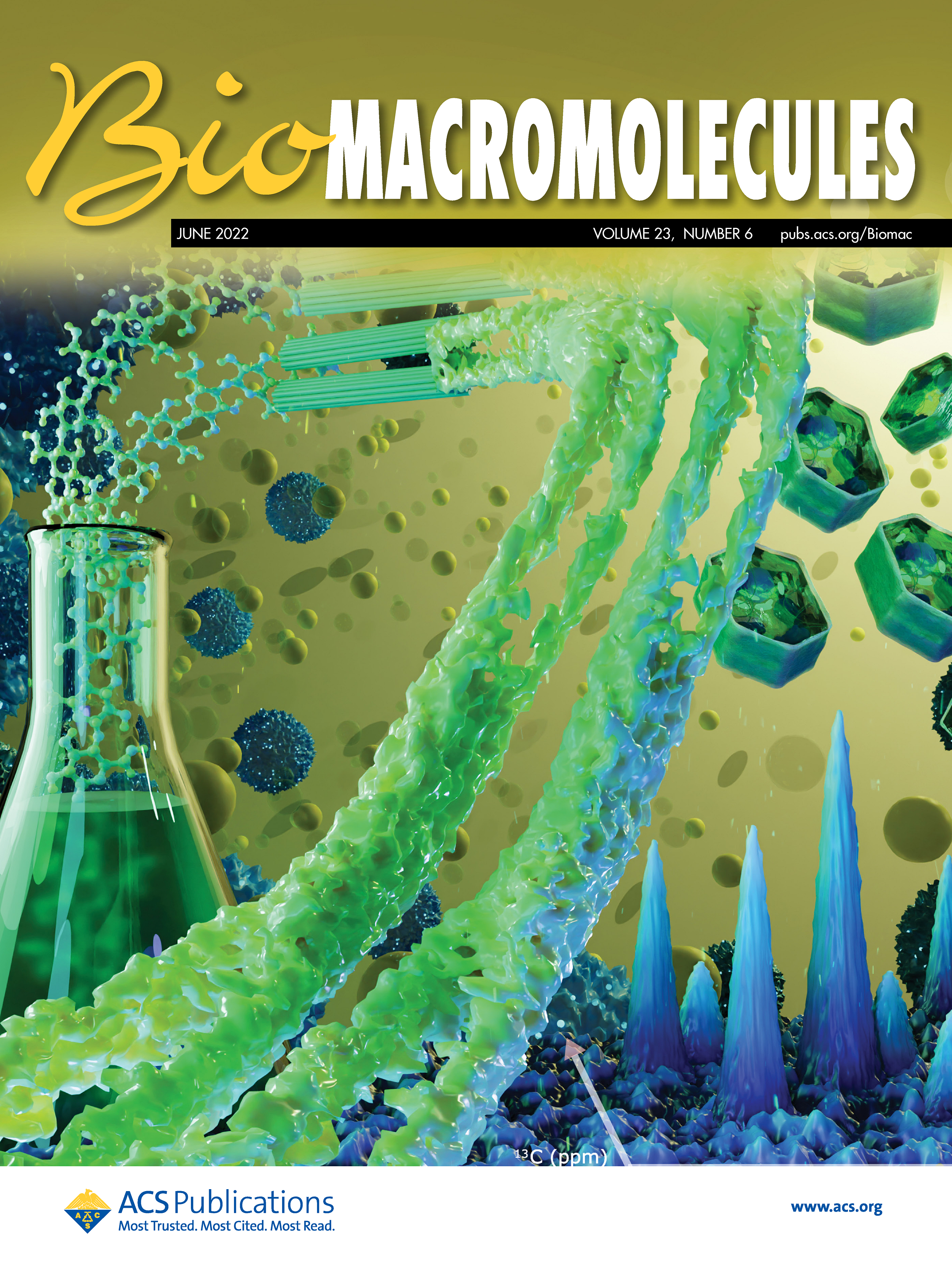supplementary Biomacromolecules journal cover showcases Deligey/Frank et al.2022 article